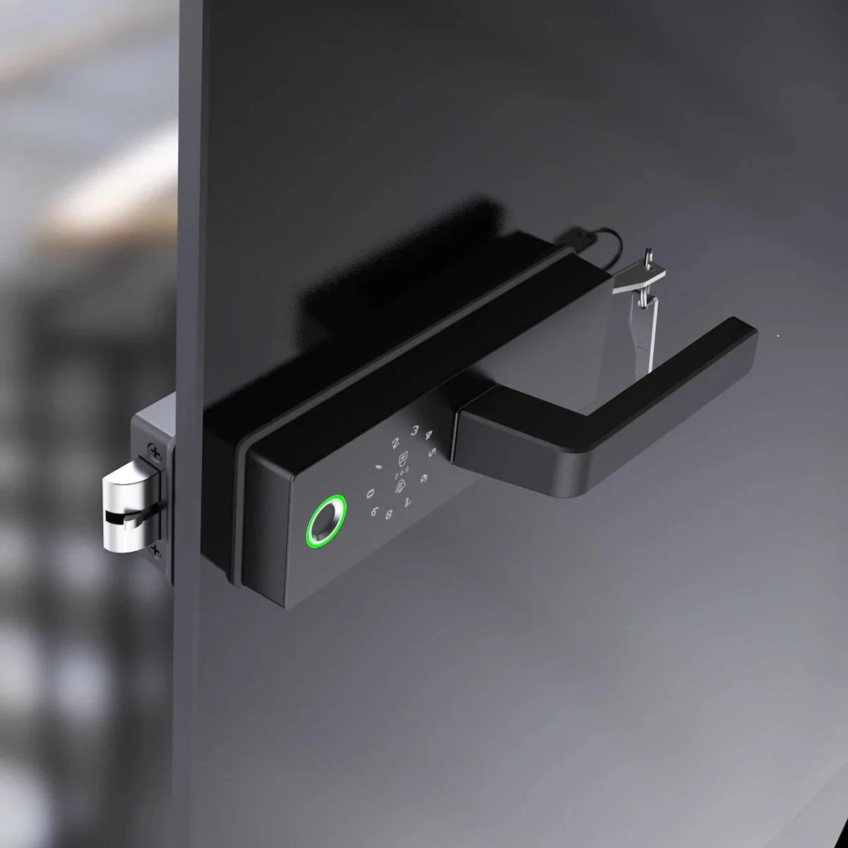 Glass Swing Door Smart Lock - Image 3