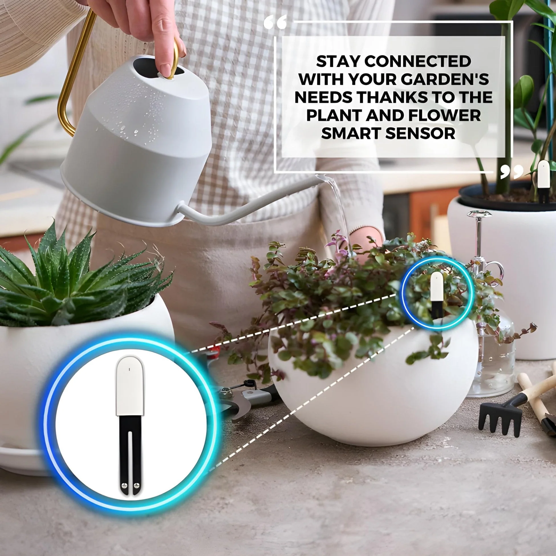 Plant & Flower Smart Sensors - Image 5