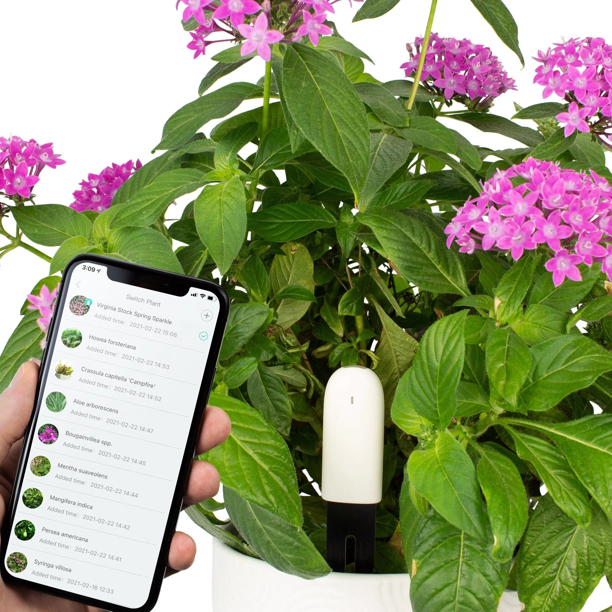 Plant & Flower Smart Sensors - Image 7