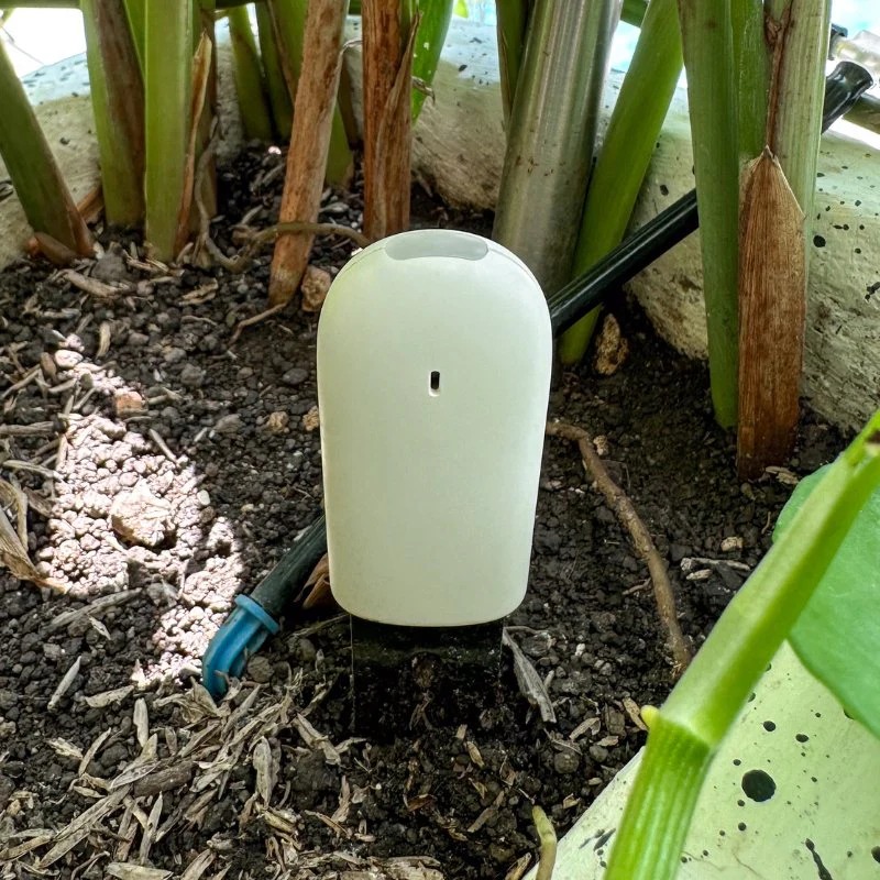 Plant & Flower Smart Sensors - Image 9