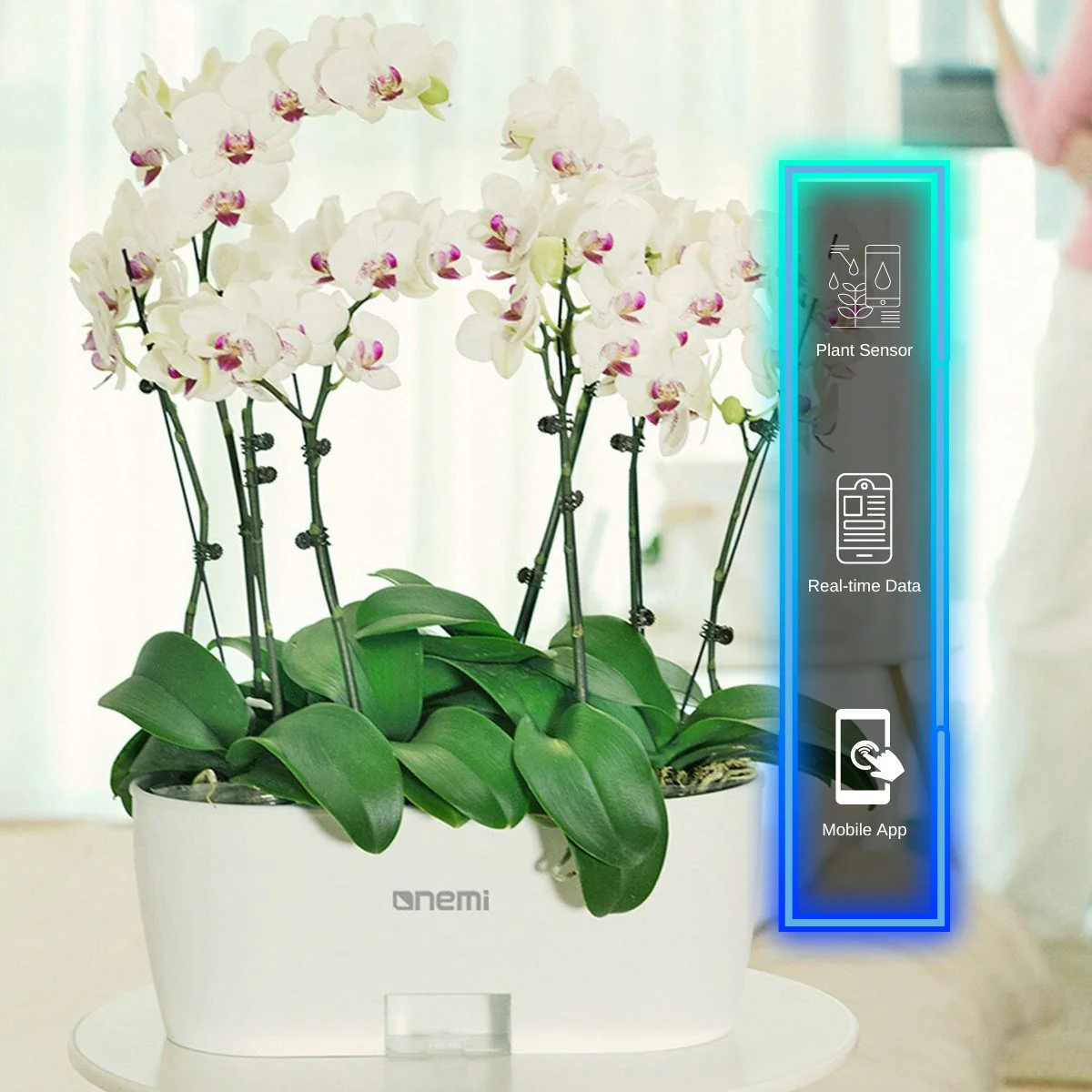 Self Watering Smart Planting Pot - Image 4