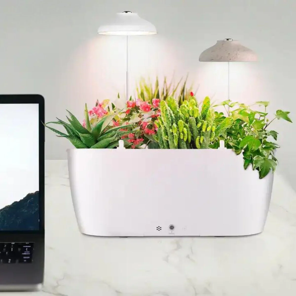 Self Watering Smart Planting Pot - Image 6