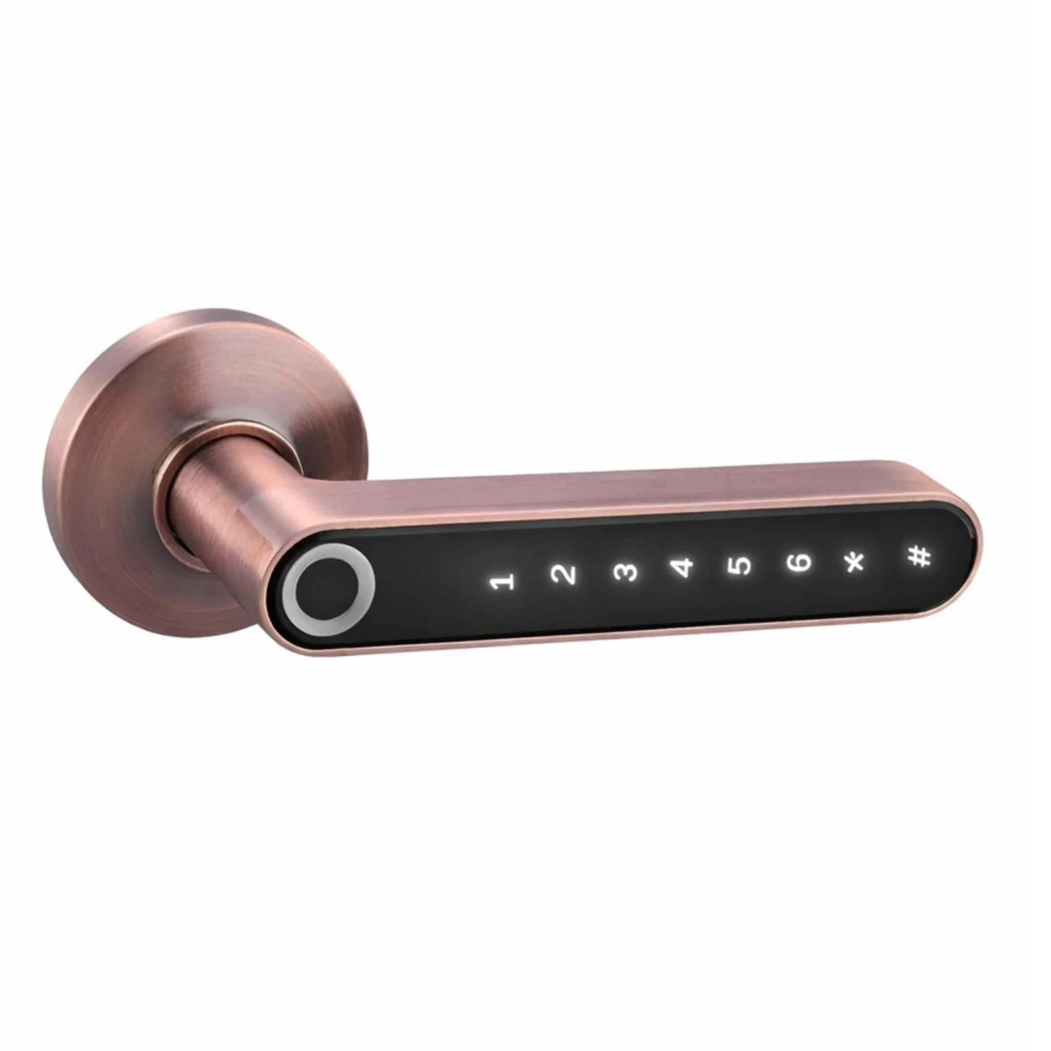 Smart Door Handle - Image 4