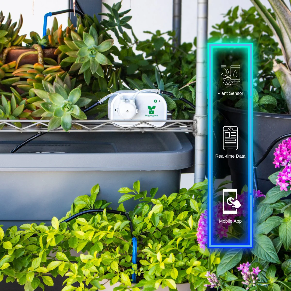 Smart Drip Irrigation System - Image 5