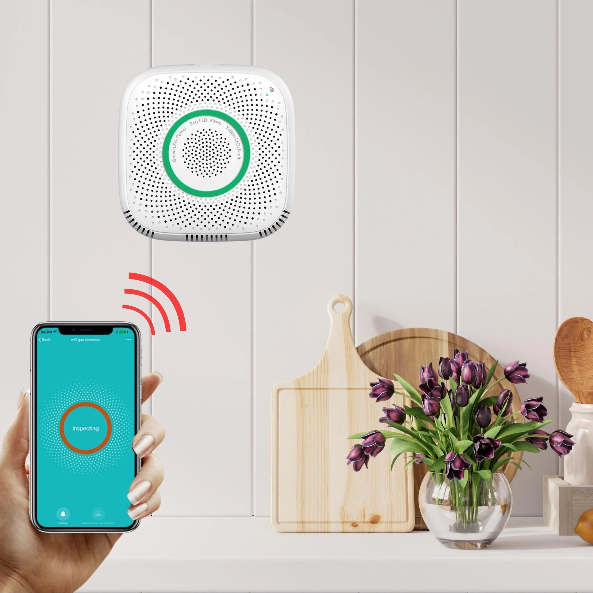 Smart Gas Leak Detector - Image 9