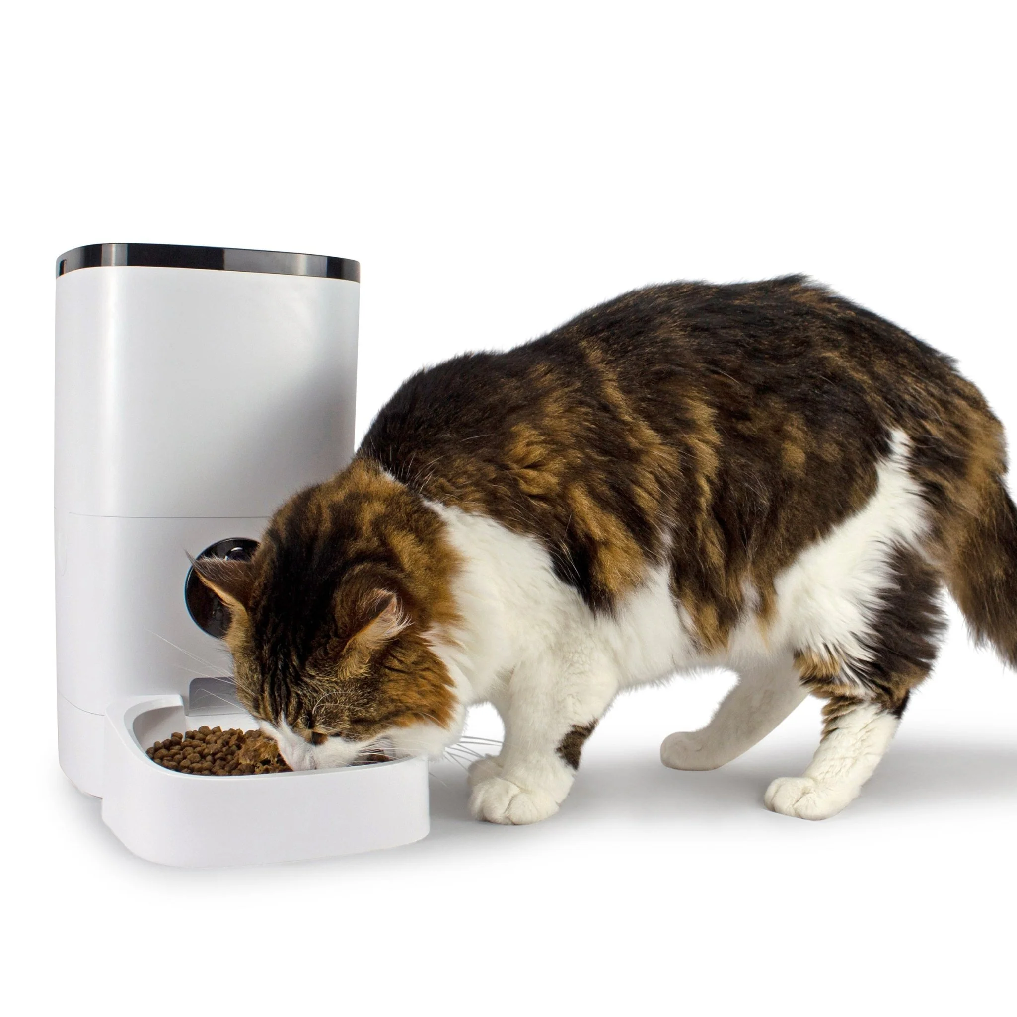 Smart Pet Feeder Camera - Image 4