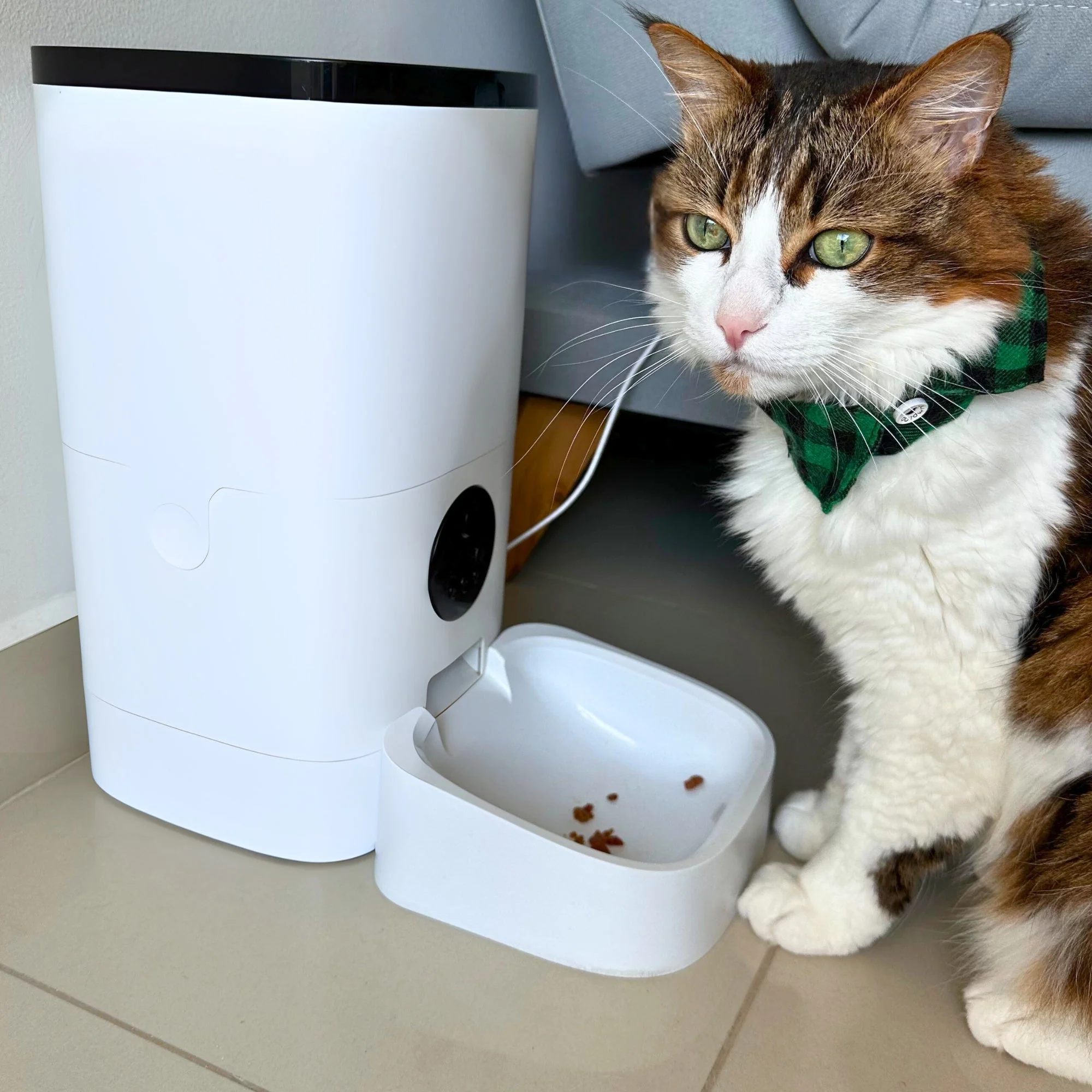 Smart Pet Feeder Camera - Image 8