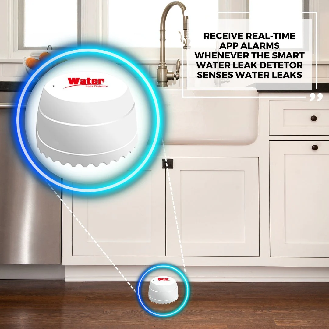 Smart Water Leak Detector - Image 4
